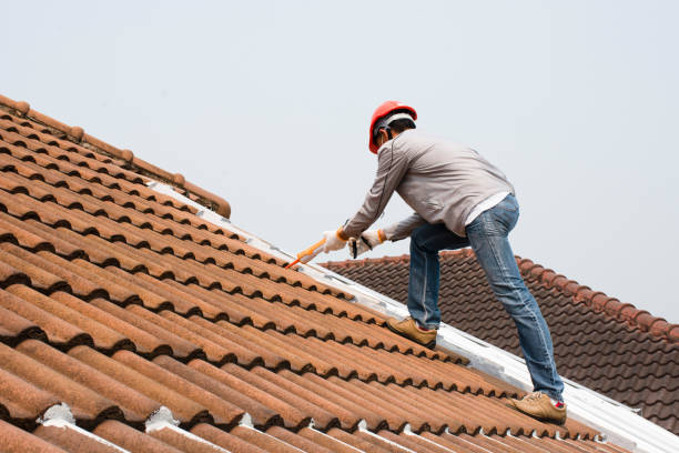 Best Commercial Roofing Services  in Red Chute, LA